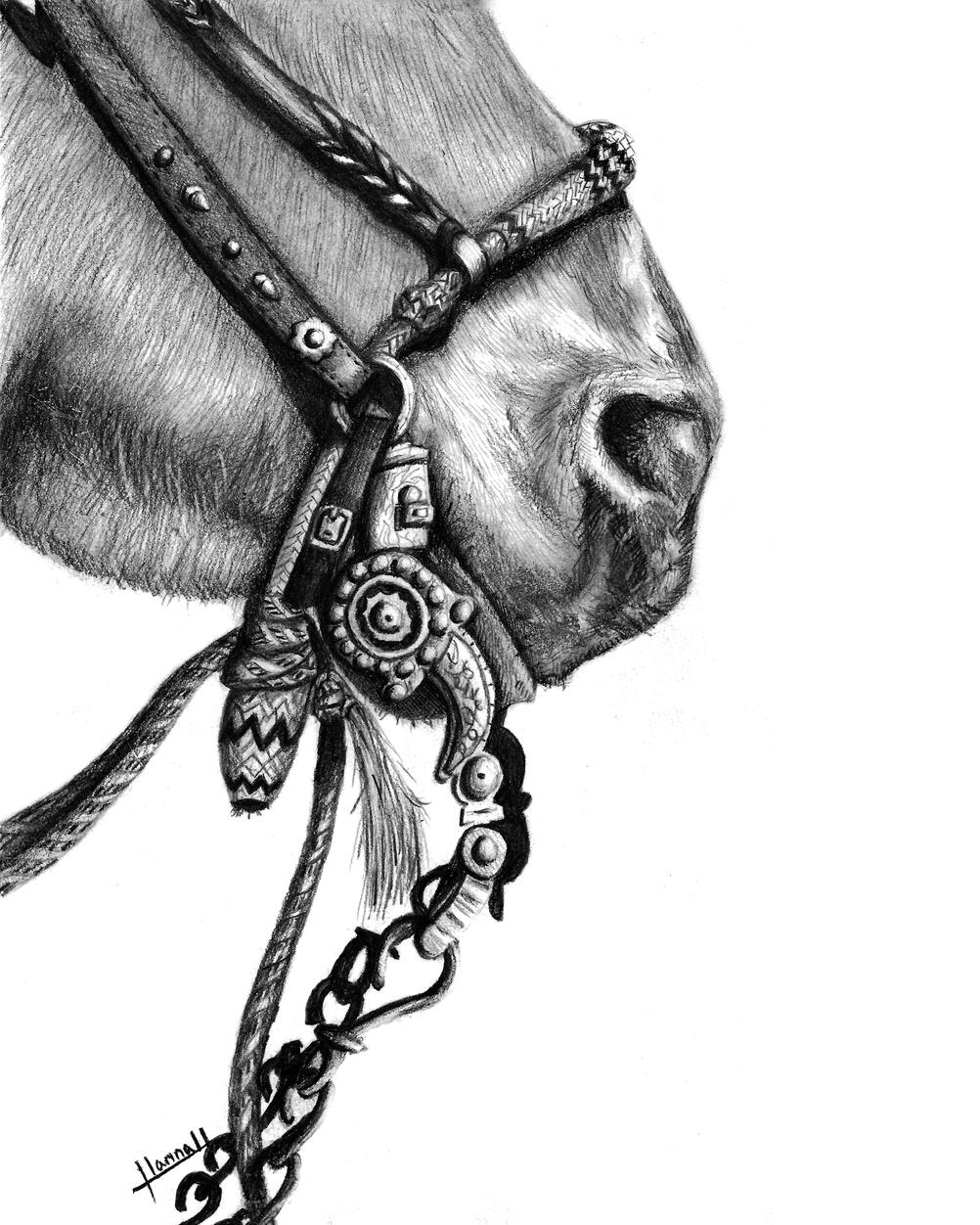 Spades | Graphite Pencil Drawing